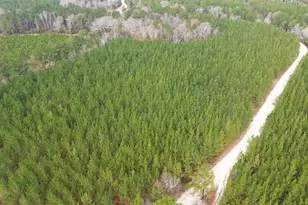 Kestrel Dr, Leesville, SC 29072 - Photo 1