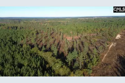 Kestrel Drive, Leesville, SC 29072 - Photo 5