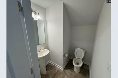 811 Coburg Lane, Lexington, SC 29073 - Photo 5