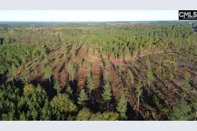 Kestrel Drive, Leesville, SC 29072 - Photo 1