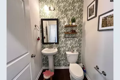 526 Litchfield Lane, Lexington, SC 29072 - Photo 19