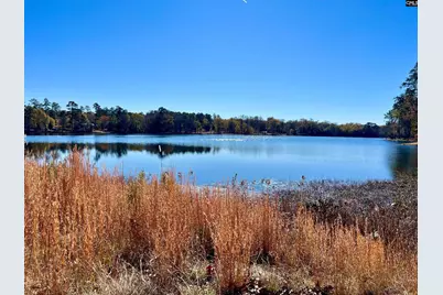 526 Litchfield Lane, Lexington, SC 29072 - Photo 39