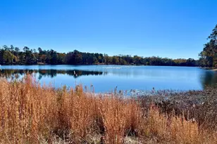 526 Litchfield Ln, Lexington, SC 29072 - Photo 39