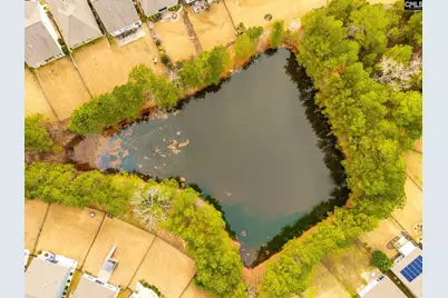 671 Scarlet Baby Drive, Blythewood, SC 29016 - Photo 41