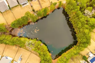 671 Scarlet Baby Dr, Blythewood, SC 29016 - Photo 41