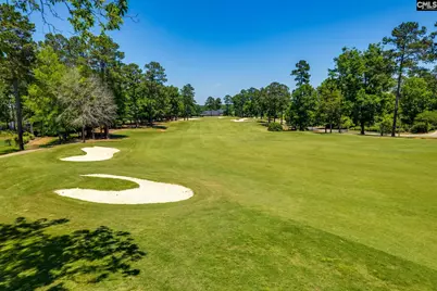 671 Scarlet Baby Drive, Blythewood, SC 29016 - Photo 49