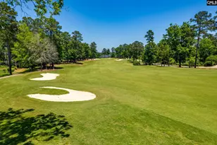 671 Scarlet Baby Dr, Blythewood, SC 29016 - Photo 49