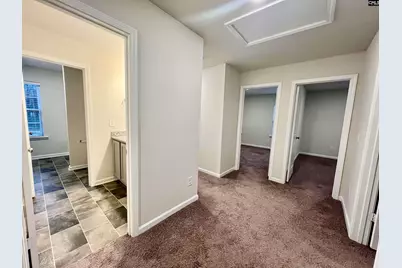 224 Olde Farm Road, Lexington, SC 29072 - Photo 9