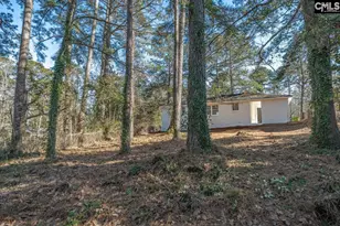 321 Stanford St, Columbia, SC 29203 - Photo 31