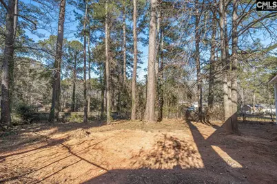 321 Stanford Street, Columbia, SC 29203 - Photo 33