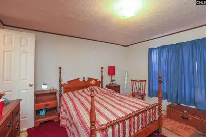 118 Frandeenas Court, Prosperity, SC 29127 - Photo 23