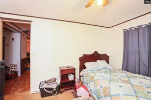 118 Frandeena's Ct, Prosperity, SC 29127 - Photo 29