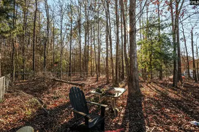 118 Frandeenas Court, Prosperity, SC 29127 - Photo 9