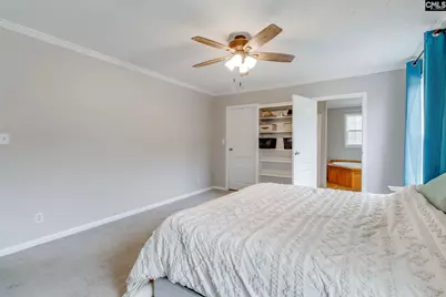 2199 Old Georgetown Road W, Cassatt, SC 29032 - Photo 19