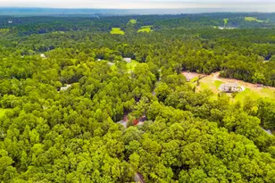 106 Bridlewood Ln, Blythewood, SC 29016 - Photo 67