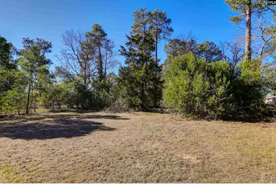 104 Crestmore Drive, Columbia, SC 29209 - Photo 37