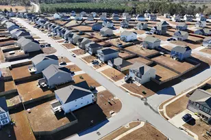 46 Texas Black Way, Elgin, SC 29045 - Photo 41