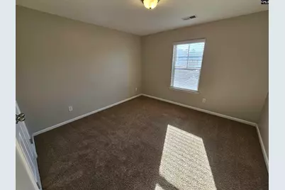 46 Texas Black Way, Elgin, SC 29045 - Photo 25