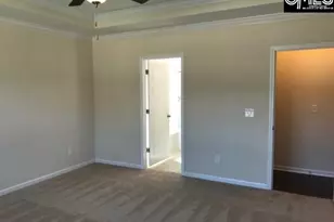 1192 Portrait Hill Dr, Chapin, SC 29036 - Photo 19