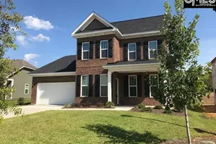 1192 Portrait Hill Dr, Chapin, SC 29036 - Photo 11