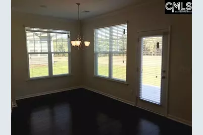 1192 Portrait Hill Drive, Chapin, SC 29036 - Photo 13
