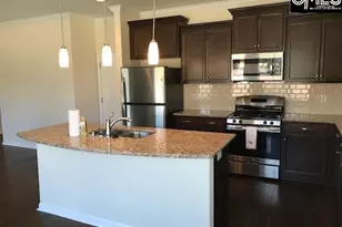 1192 Portrait Hill Dr, Chapin, SC 29036 - Photo 15