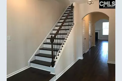 1192 Portrait Hill Drive, Chapin, SC 29036 - Photo 9