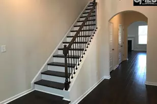 1192 Portrait Hill Dr, Chapin, SC 29036 - Photo 9