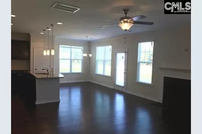 1192 Portrait Hill Drive, Chapin, SC 29036 - Photo 7