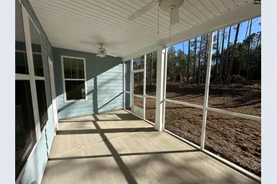 342 Rising Stream Way, Chapin, SC 29036 - Photo 9