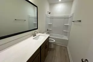 342 Rising Stream Way, Chapin, SC 29036 - Photo 17