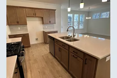 342 Rising Stream Way, Chapin, SC 29036 - Photo 5