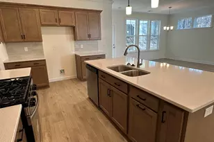 342 Rising Stream Way, Chapin, SC 29036 - Photo 5