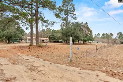 278 Megill Drive, Pelion, SC 29123 - Photo 3