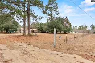 278 Megill Dr, Pelion, SC 29123 - Photo 3