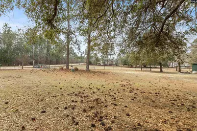 278 Megill Drive, Pelion, SC 29123 - Photo 31