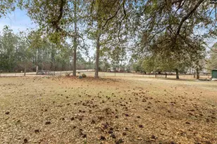 278 Megill Dr, Pelion, SC 29123 - Photo 31