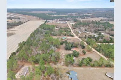 278 Megill Drive, Pelion, SC 29123 - Photo 41