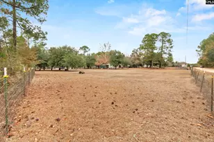 278 Megill Dr, Pelion, SC 29123 - Photo 33