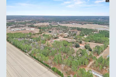 278 Megill Drive, Pelion, SC 29123 - Photo 43