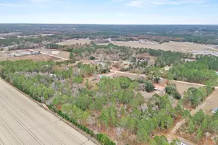 278 Megill Dr, Pelion, SC 29123 - Photo 43