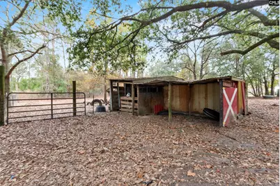 278 Megill Drive, Pelion, SC 29123 - Photo 23