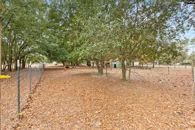 278 Megill Drive, Pelion, SC 29123 - Photo 25