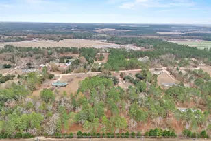 278 Megill Dr, Pelion, SC 29123 - Photo 35