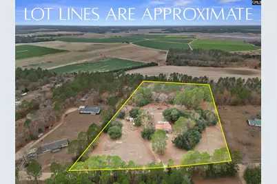 278 Megill Drive, Pelion, SC 29123 - Photo 37