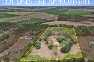 278 Megill Dr, Pelion, SC 29123 - Photo 37