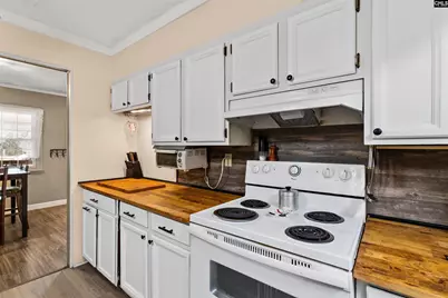 278 Megill Drive, Pelion, SC 29123 - Photo 9