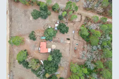 278 Megill Drive, Pelion, SC 29123 - Photo 37