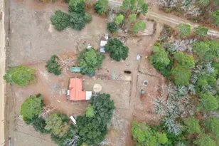 278 Megill Dr, Pelion, SC 29123 - Photo 37