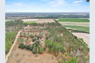 278 Megill Drive, Pelion, SC 29123 - Photo 39